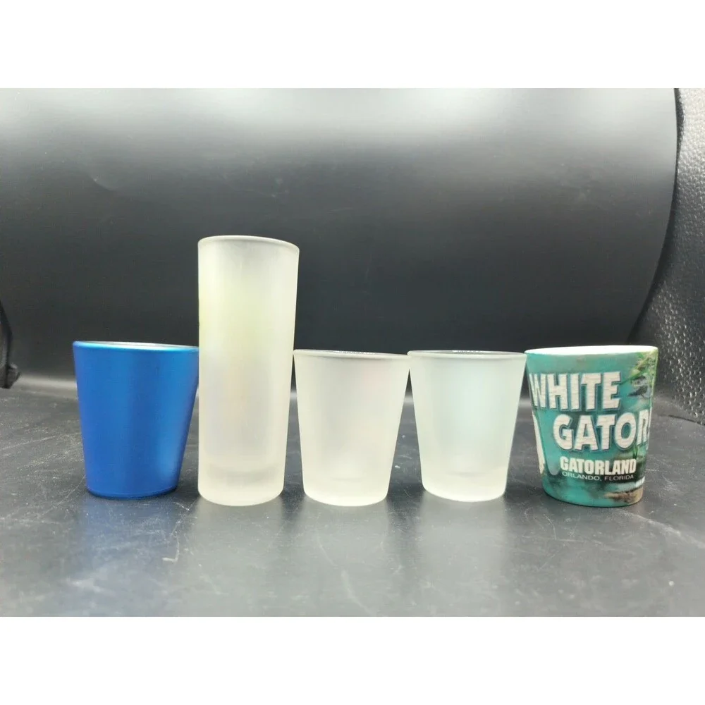 Lot of 5 Florida City Souvenir Shot Glasses Tampa Orlando Key West Epcot